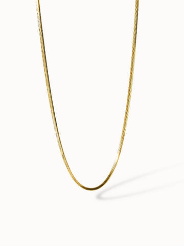 {"color":"Gold", "type":"lead_image"}
