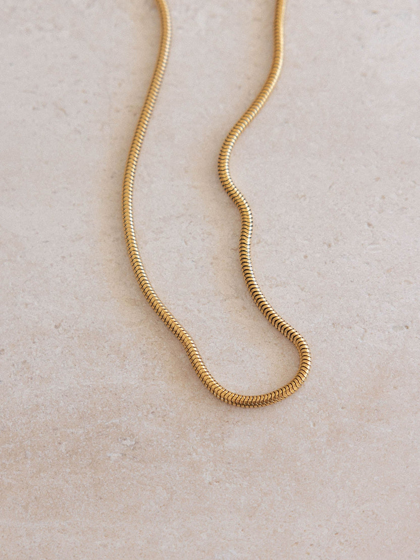{"color":"Gold"}