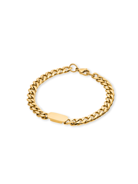 Plate Armband