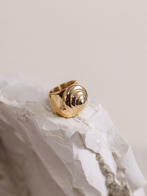 {"color":"Gold"}