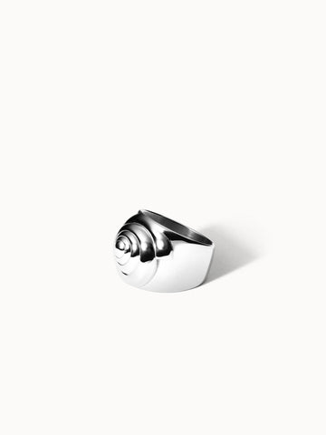 {"color":"Silver", "type":"lead_image"}