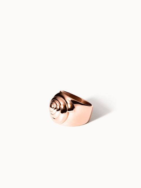 {"color":"Rosegold", "type":"lead_image"}