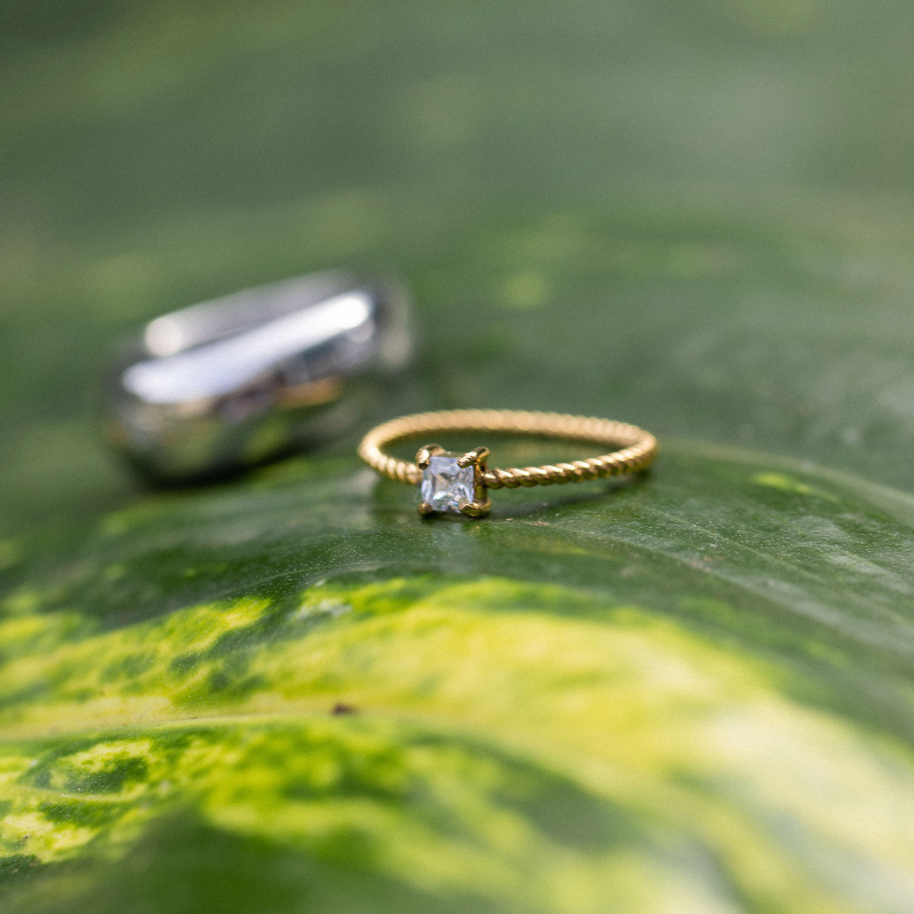 Precious Fine Ring von PURELEI, gedrehtes 18K Goldband mit weißem Zirkonia auf natürlichem Blatt, fein und elegant