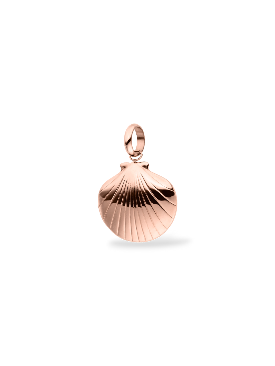 Seashell Charm
