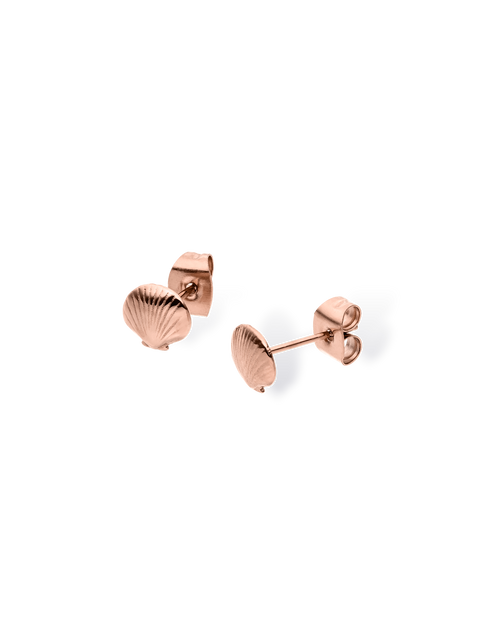 Seashell Ohrringe