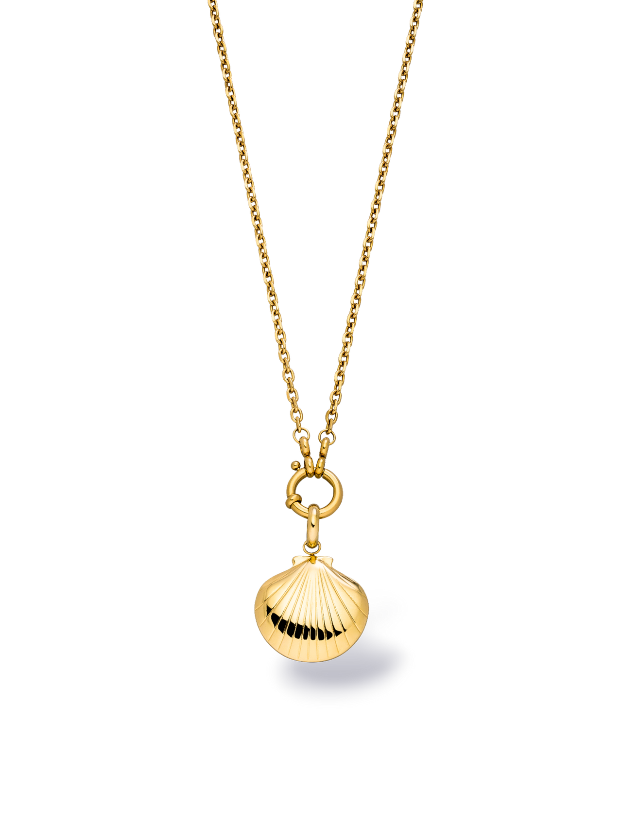 Seashell Charm
