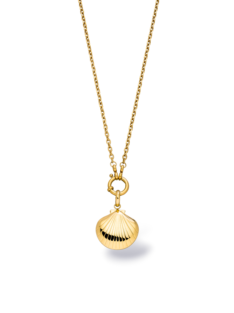 Seashell Charm