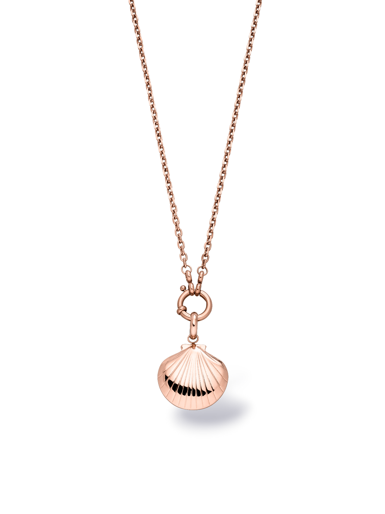 Seashell Charm