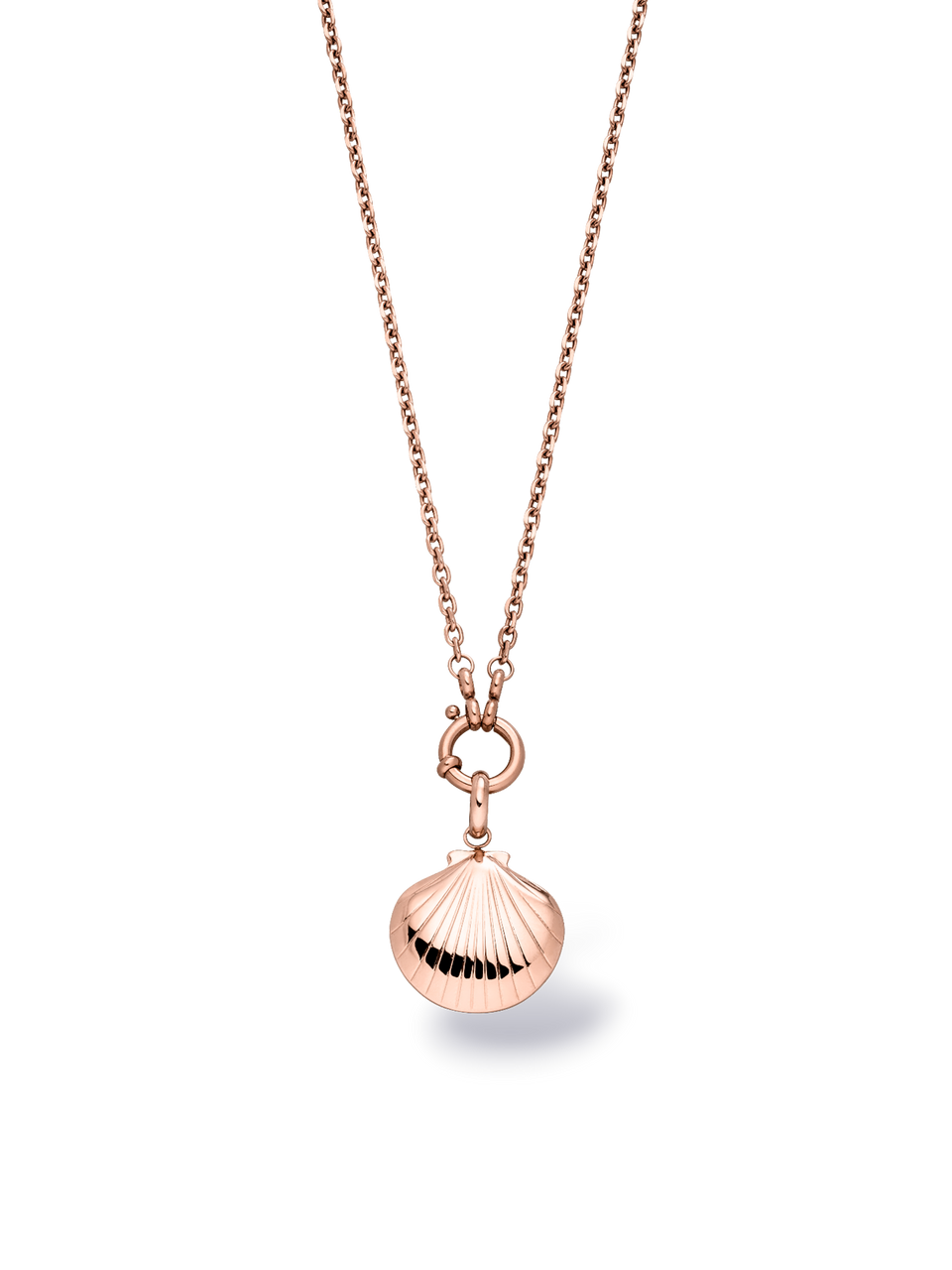 Seashell Charm