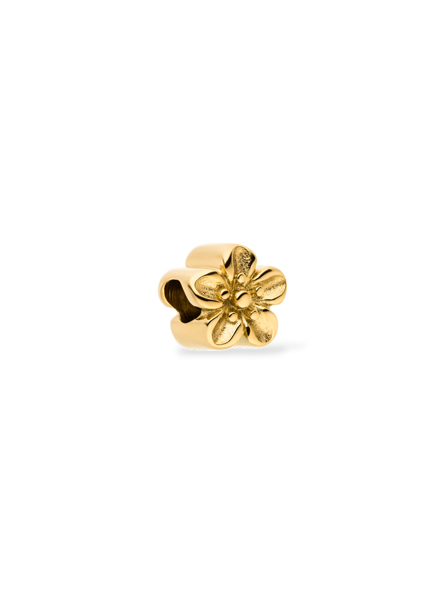 files/shop_0045_Lei-Birthflower-Charms-9_0002_260210a86342.psd.png