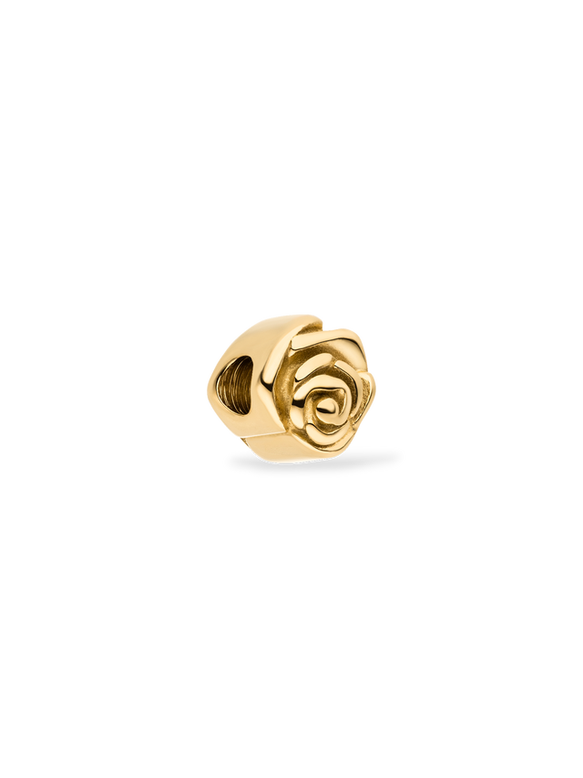 files/shop_0060_Lei-Birthflower-Charms-4_0002_260210a86283.psd.png