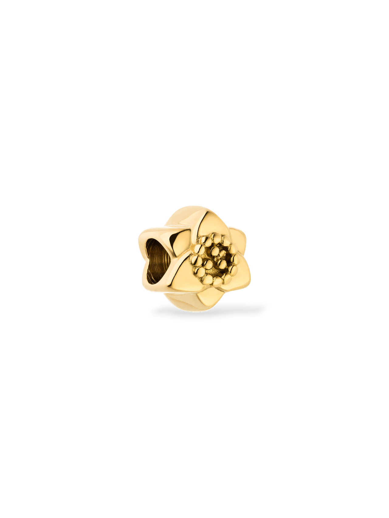 LEI Narzissen Charm - Geburtsblume Dezember