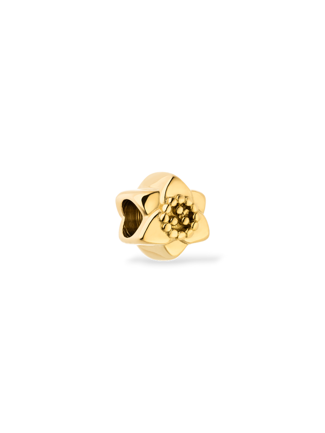 files/shop_0066_Lei-Birthflower-Charms-2_0002_260210a86213.psd.png