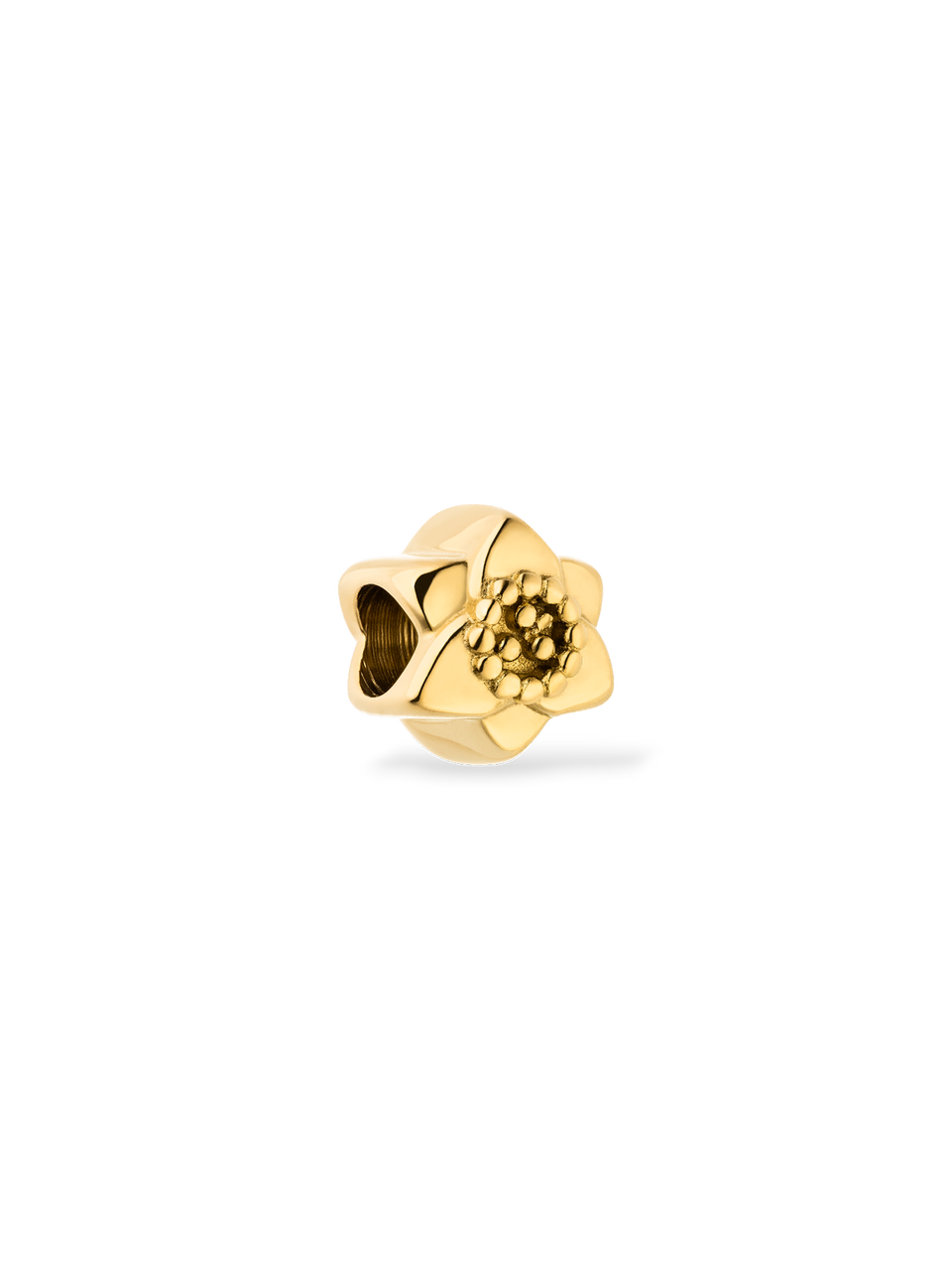 LEI Narzissen Charm - Geburtsblume Dezember