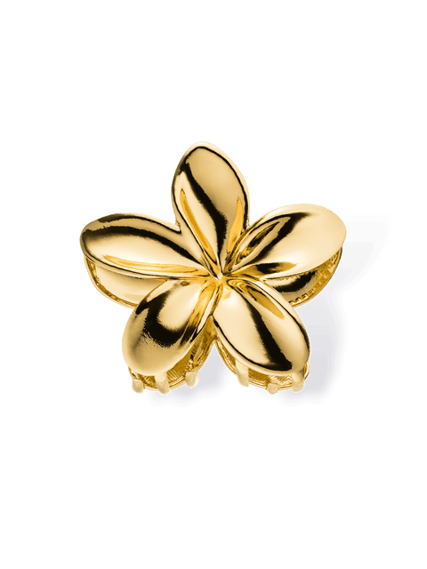 Flower Hairclip