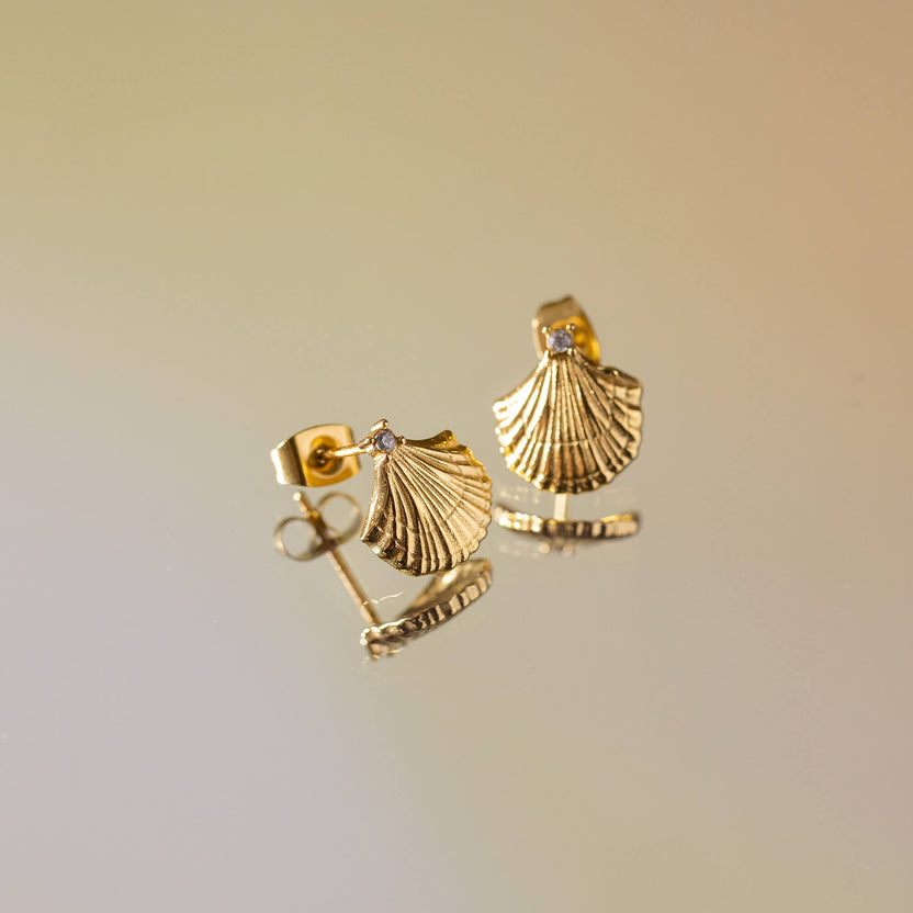 Aloha Shell Ohrringe von PURELEI, goldene Muschel-Ohrstecker mit Zirkonia, elegant und nickelfrei, pure Aloha-Vibes.